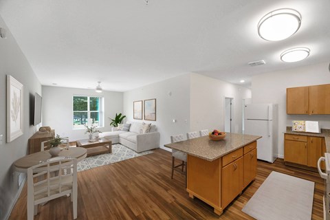 Dominium_Avery_Landing_Kitchen_Living Room Rendering