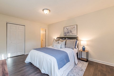 Dominium - Park at Mt Zion - Primary Bedroom - 10