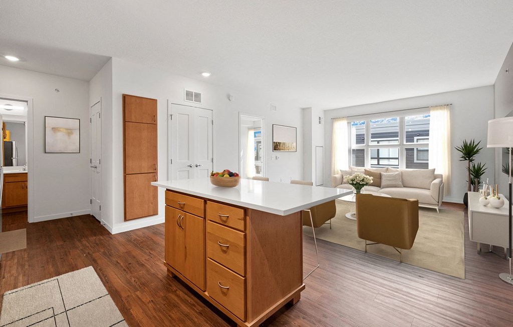 Kitchen at 1500 Nicollet Apartment Homes, Minneapolis, Minnesota