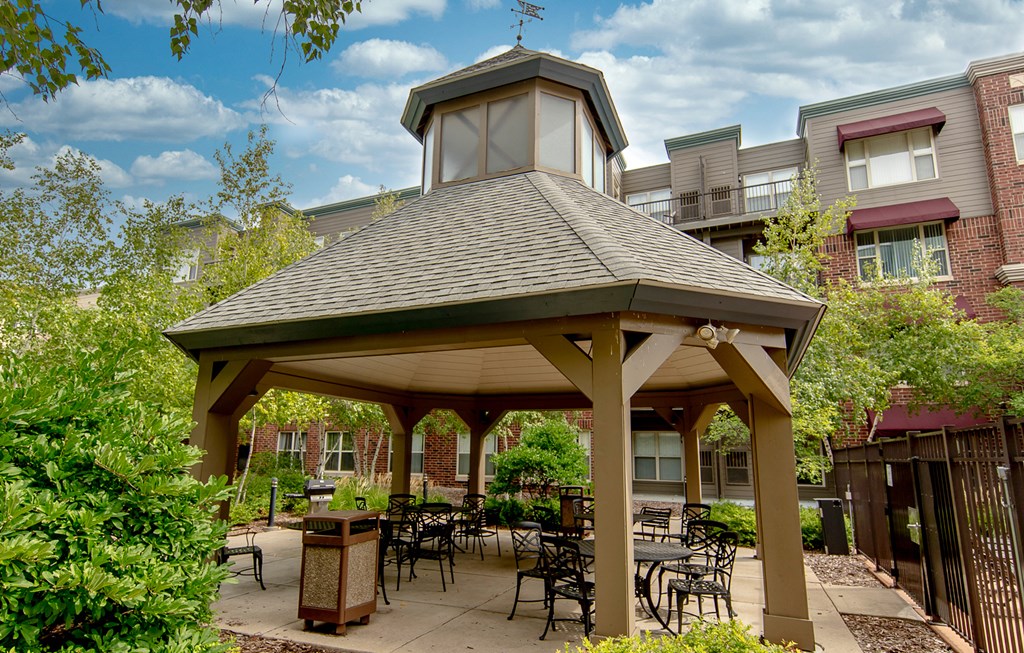 Dominium-808 Berry-Picnic and Grilling Area