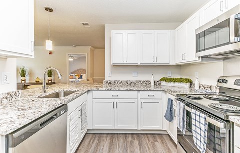 Model Kitchen at Alexander at Stonecrest Apartments, Lithonia, GA