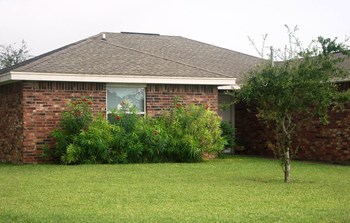 Arbor Cove Single Family Homes 2805 Fordyce Avenue Donna Tx Rentcafe