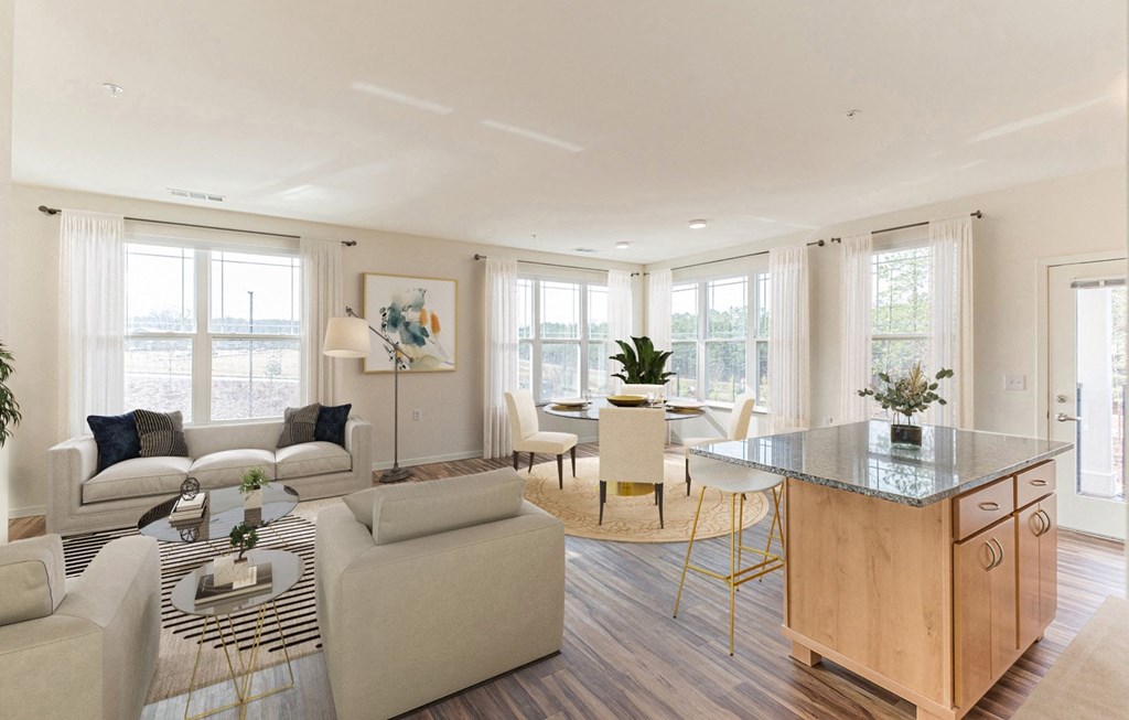 Dominium-Ashlynn Ridge-Virtually Staged Apt 1 Overview