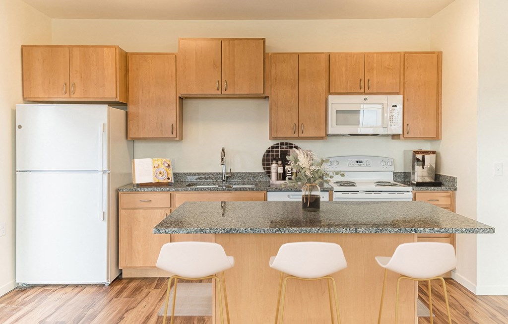 Dominium-Ashlynn Ridge-Virtually Staged Apt 1 Kitchen