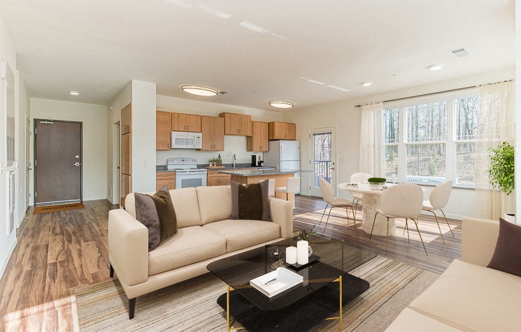 Dominium-Ashlynn Ridge-Virtually Staged Apt 2 Overview