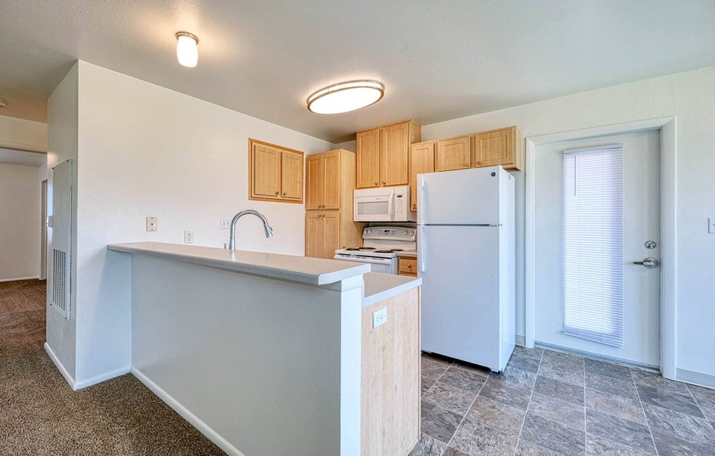 Balmoral_Apartment Kitchen