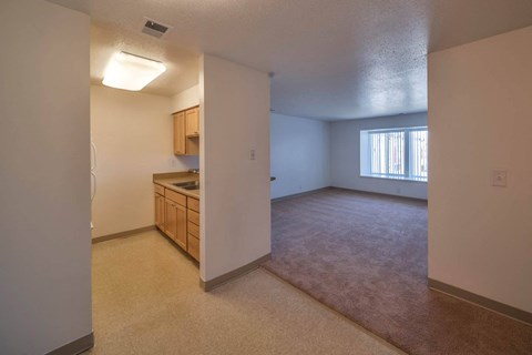 Castlewoods_Apartment Living Room