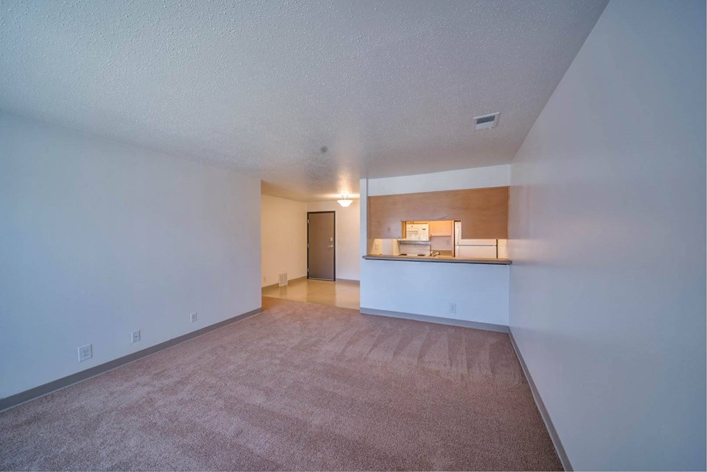 Castlewoods_Apartment Living Room