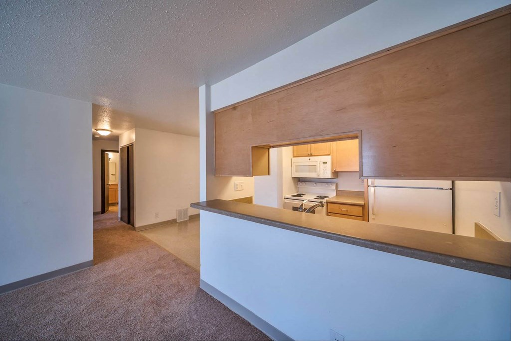 Castlewoods_Apartment Kitchen