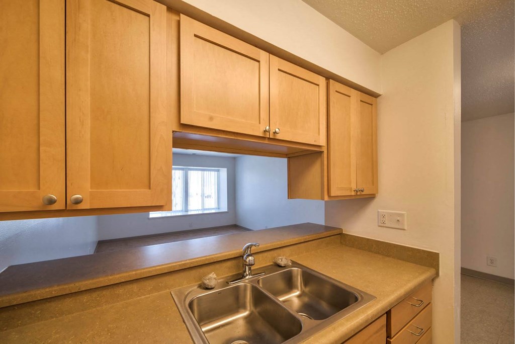 Castlewoods_Apartment Kitchen