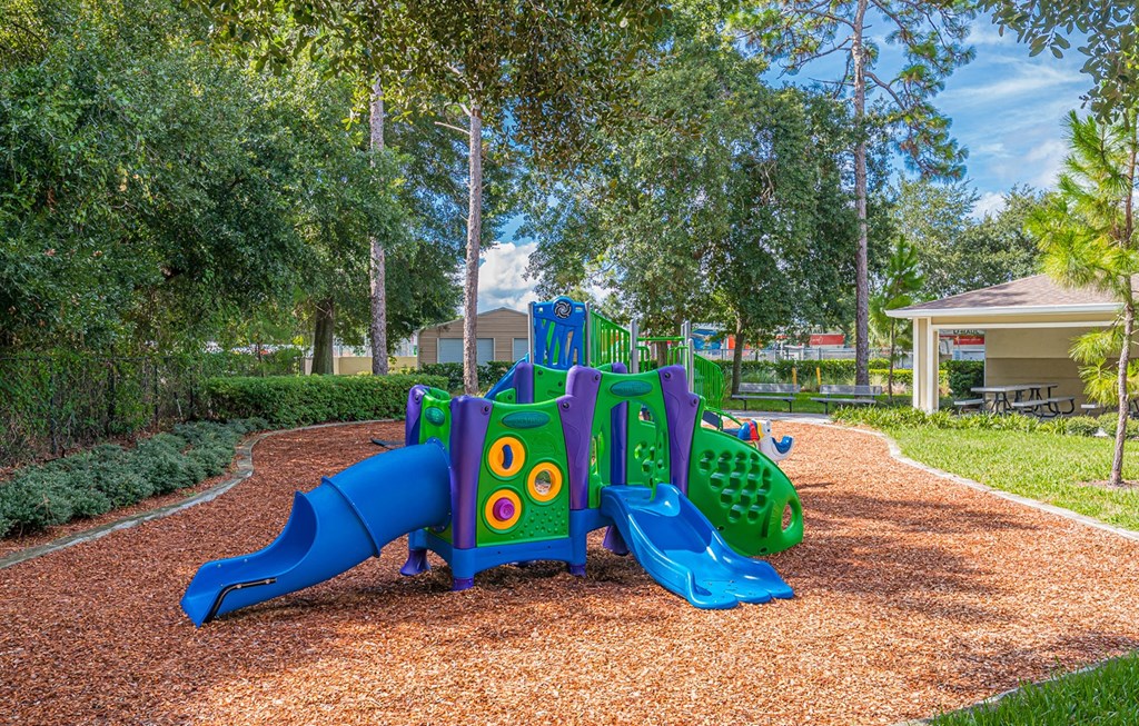 Dominium-Chapel Trace-Playground