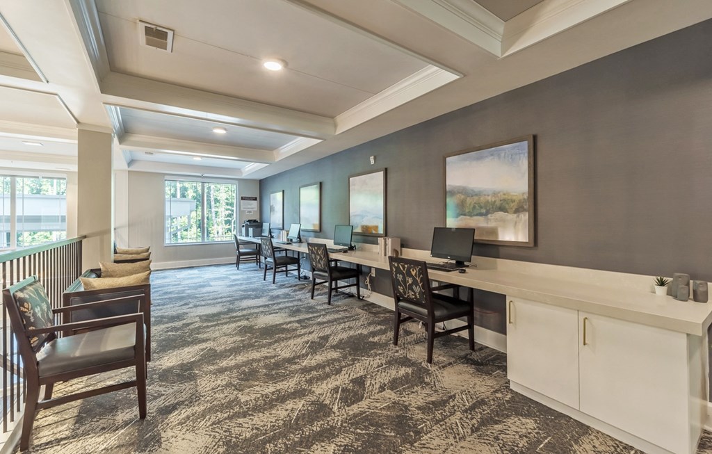 Business Center at Covington Crossings 55+ Senior Living, Covington, GA