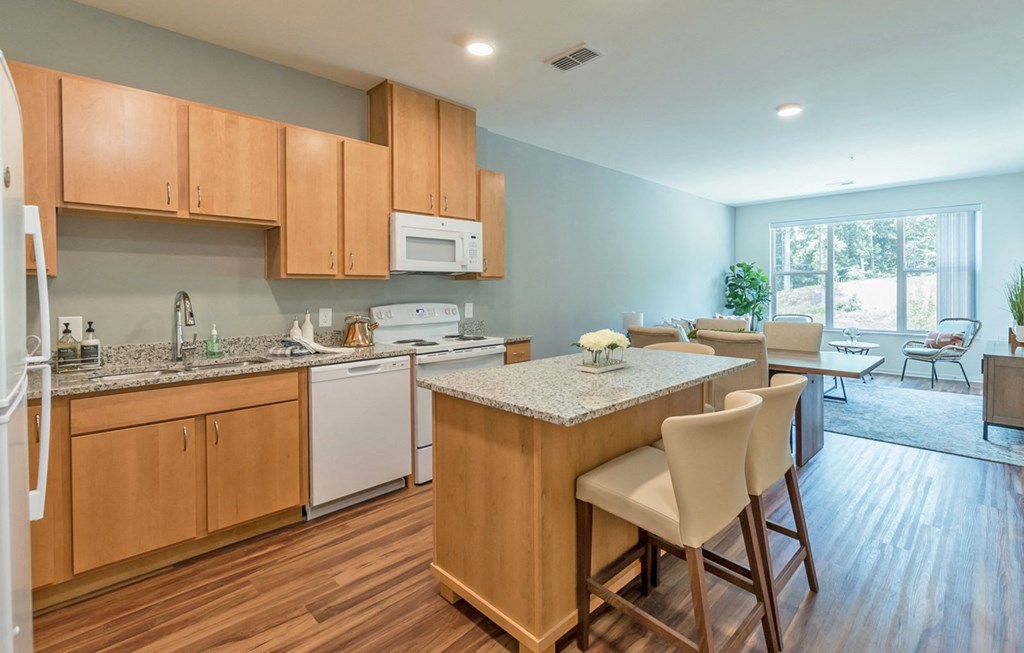 Apt Overview at Covington Crossings 55+ Senior Living, Covington, 30014