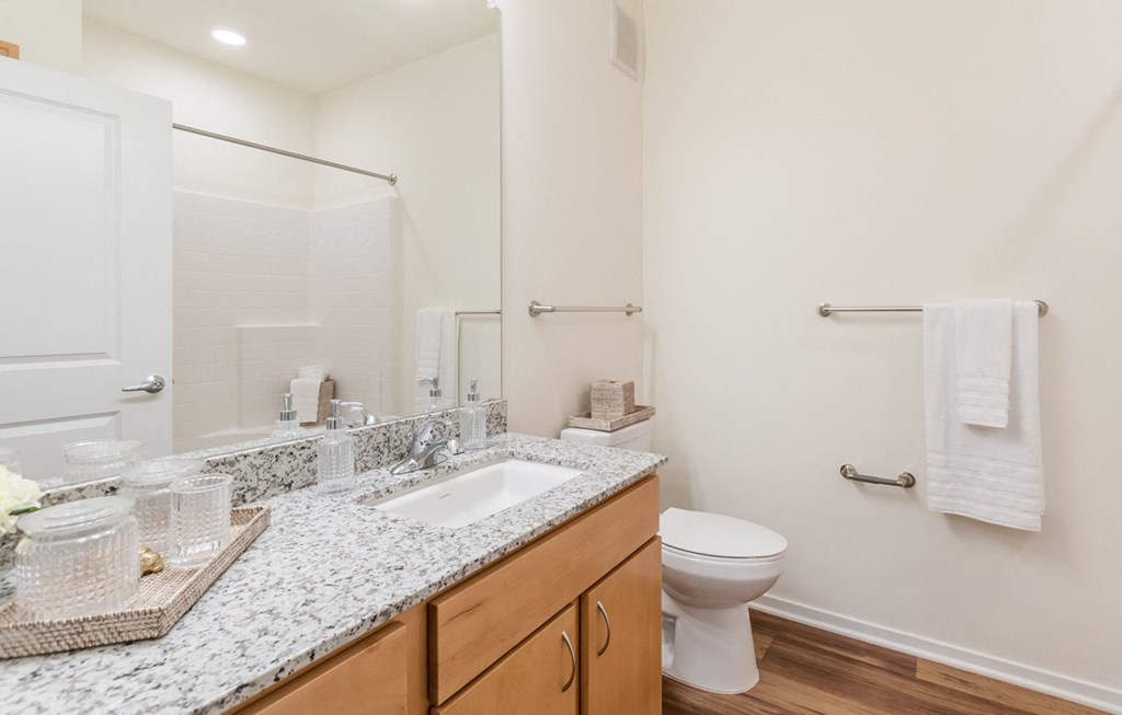 Bathroom at Covington Crossings 55+ Senior Living, Covington, GA
