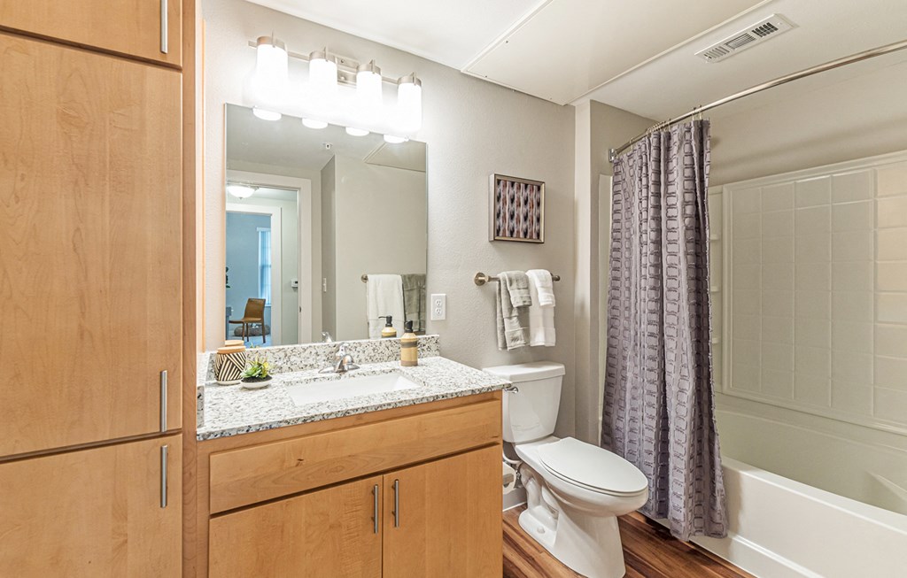 Dominium-Crossroad Commons-Bathroom at Crossroad Commons, Manor