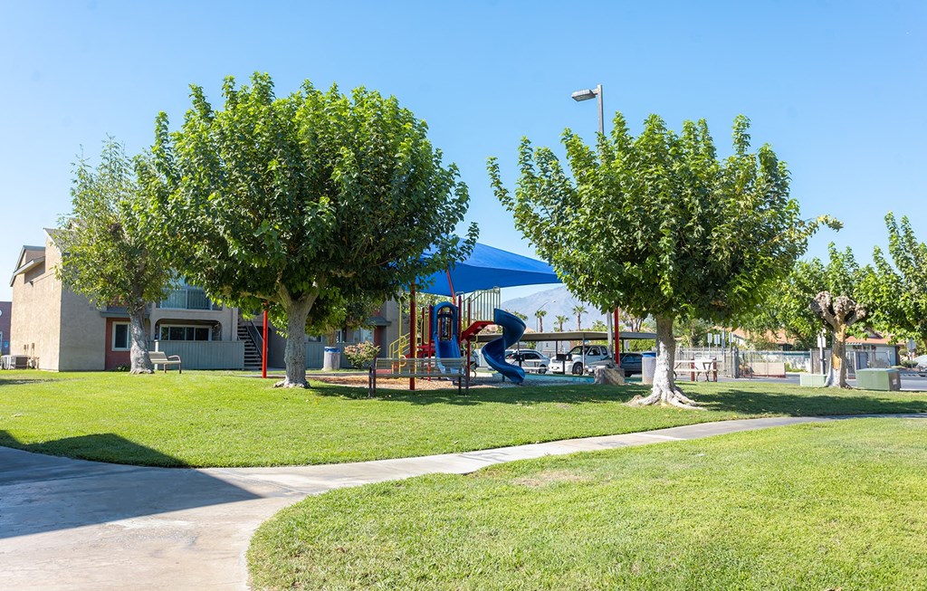 Dominium-Desert Palms-Playground