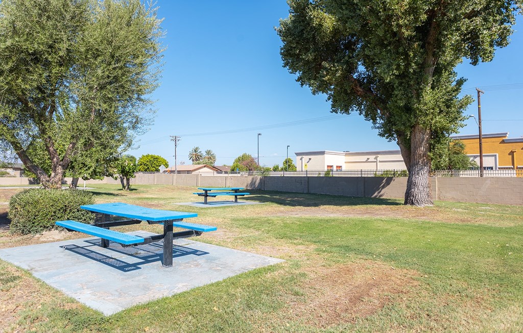 Dominium-Desert Palms-Picnic Area