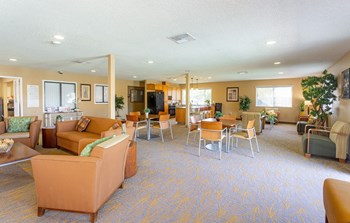 Dominium-Desert Palms-Community Room - Photo Gallery 2