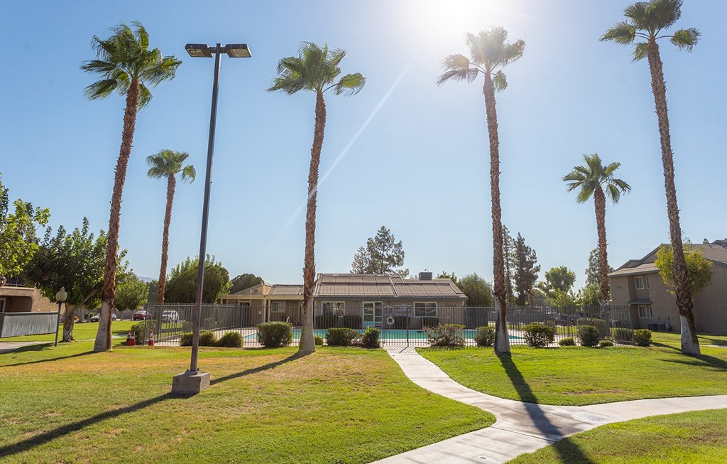 Dominium-Desert Palms-Pool