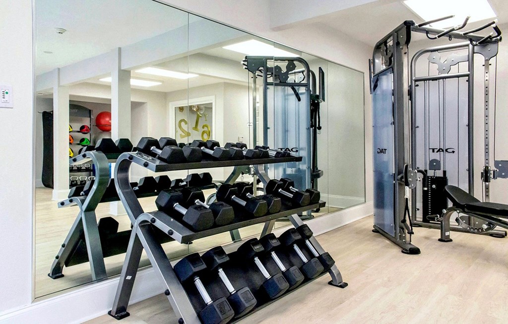 Dominium-Fulton Pointe-Fitness Center
