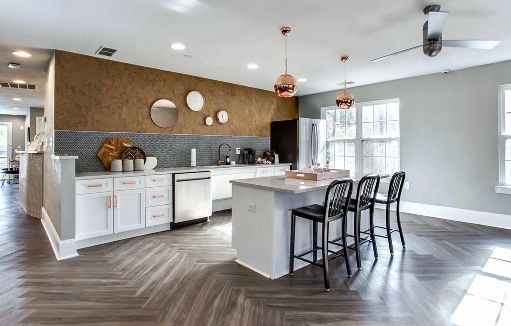 Dominium-Fulton Pointe-Community Kitchen