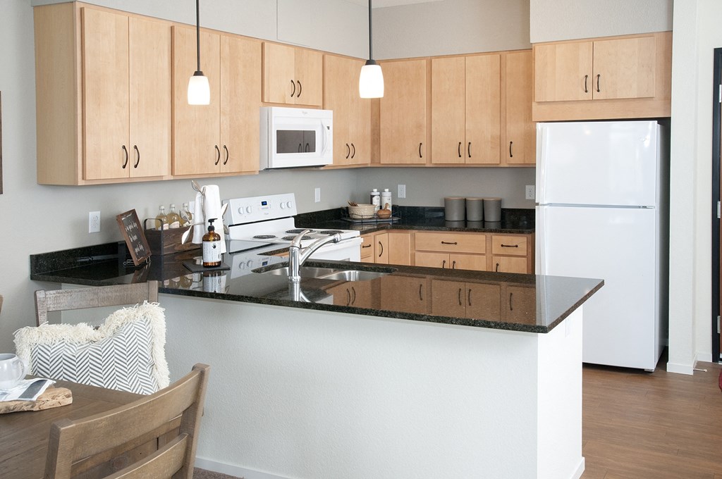 Dominium-Grainwood Senior-1BR Kitchen