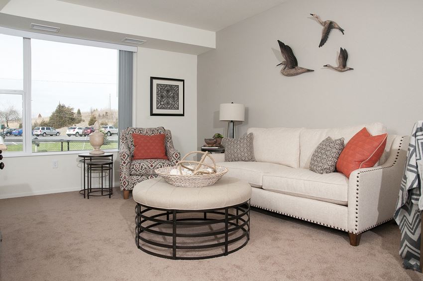 Dominium-Grainwood Senior-1BR Living Room