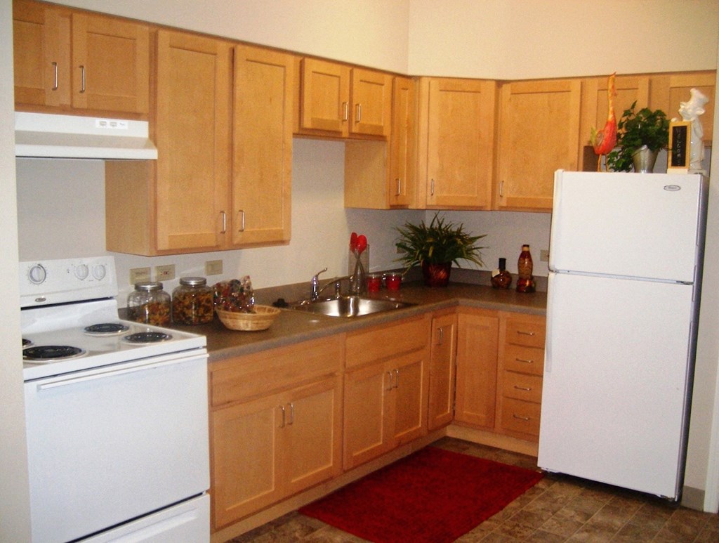 Dominium_Grand South Senior_Kitchen