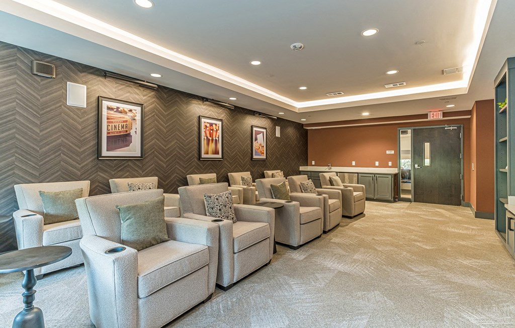 Dominium-Grayson Ridge-Theater Room