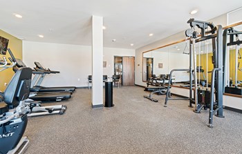 Fitness Center With Modern Equipment at Harbor at Twin Lakes 55+ Apartments, Roseville, 55113 - Photo Gallery 11