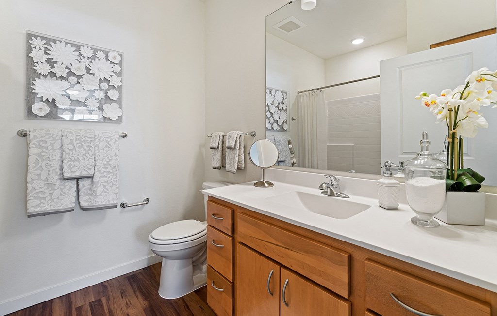 Luxurious Bathroom at Harbor at Twin Lakes 55+ Apartments, Roseville, Minnesota