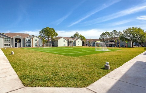 Soccer Field
