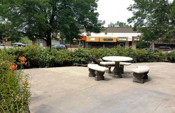 Larson Commons_Picnic Table - Photo Gallery 3
