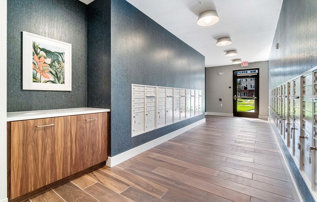 Dominium-Legacy Commons at Signal Hills-Mail Room