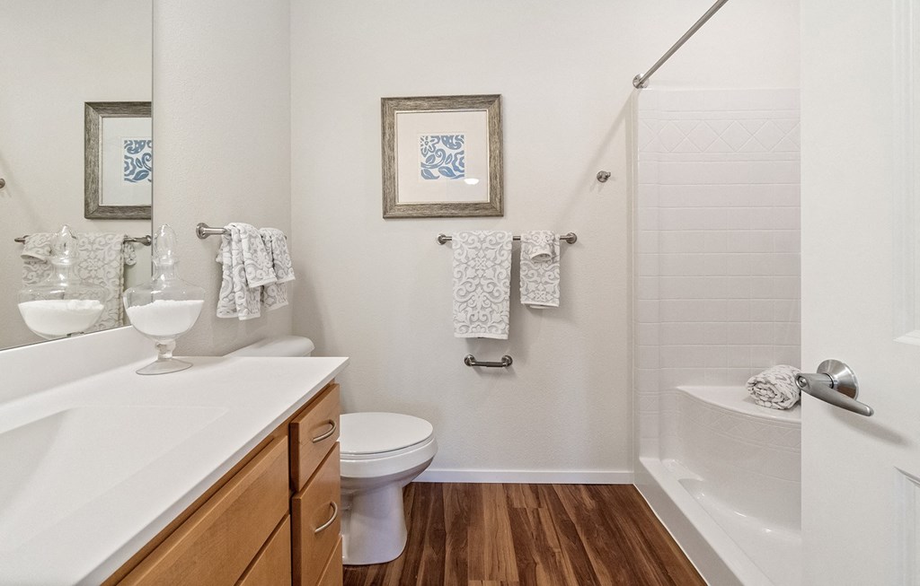 a bathroom with a toilet sink and bathtub at Legacy Commons at Signal Hills 55+ Apartments, West St. Paul, MN