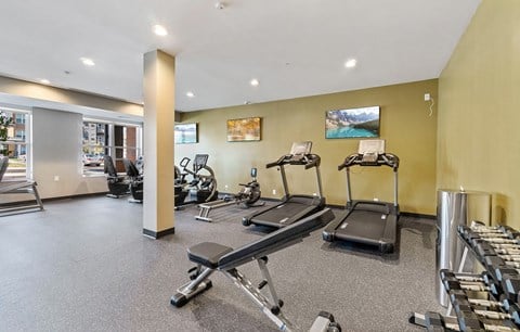 Dominium-Legacy Commons at Signal Hills-Fitness Center