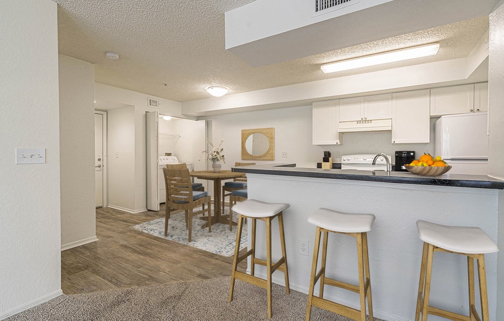 Dominium-Nassau Bay-Apt Overview