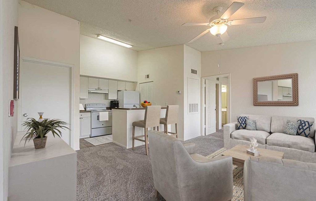 Dominium-Nassau Bay-Apt Overview