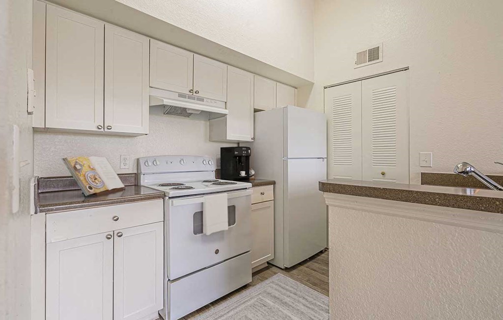 Dominium-Nassau Bay-Kitchen