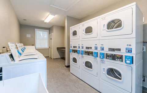 Oaks at New Hope_Laundry Room