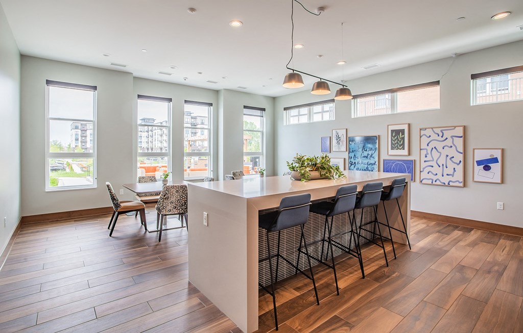 Dominium-Oasis at Twin Lakes-Community Kitchen