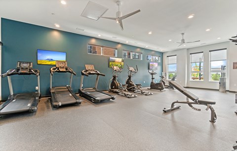Dominium-Oasis at Twin Lakes-Fitness Center