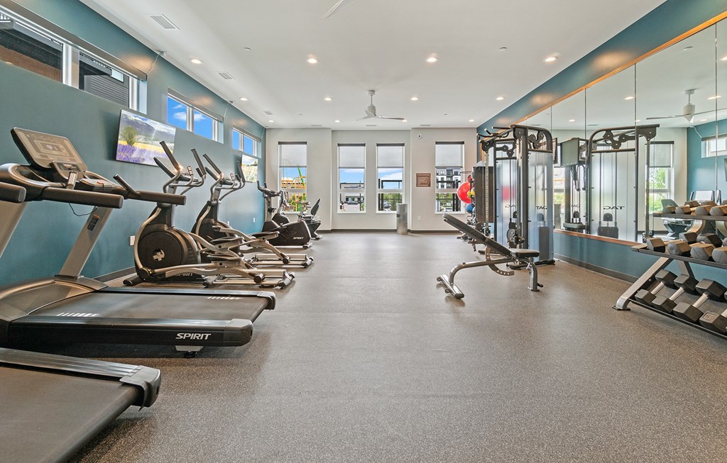 Dominium-Oasis at Twin Lakes-Fitness Center