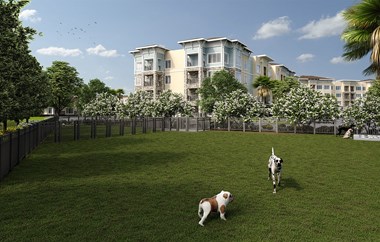 Dog Park at Osprey Park 62+ Apartments, Kissimmee, FL, 34758 - Photo Gallery 3