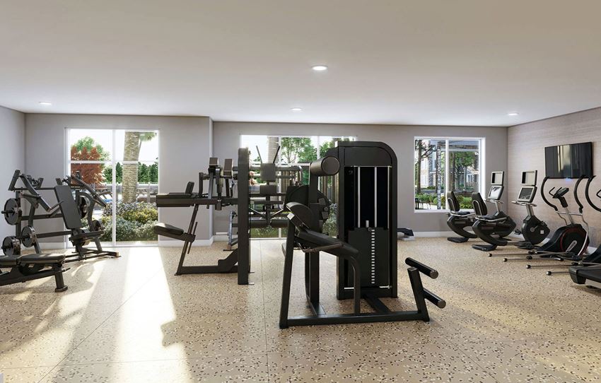 Fitness Center Rendering Fitness Center Rendering at Osprey Park 62+ Apartments, Kissimmee
