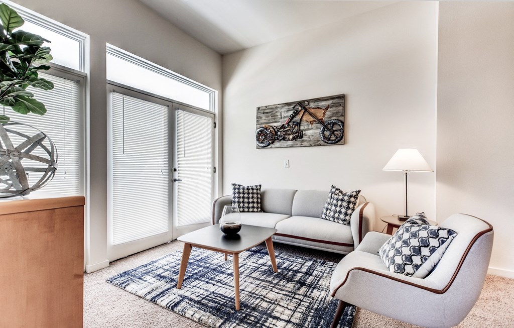 Dominium-Park Avenue West-Model Living Room at Park Avenue West, Denver Colorado