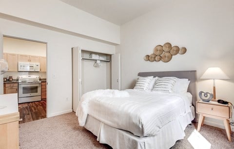 Dominium-Park Avenue West-Model Bedroom at Park Avenue West, Colorado, 80205
