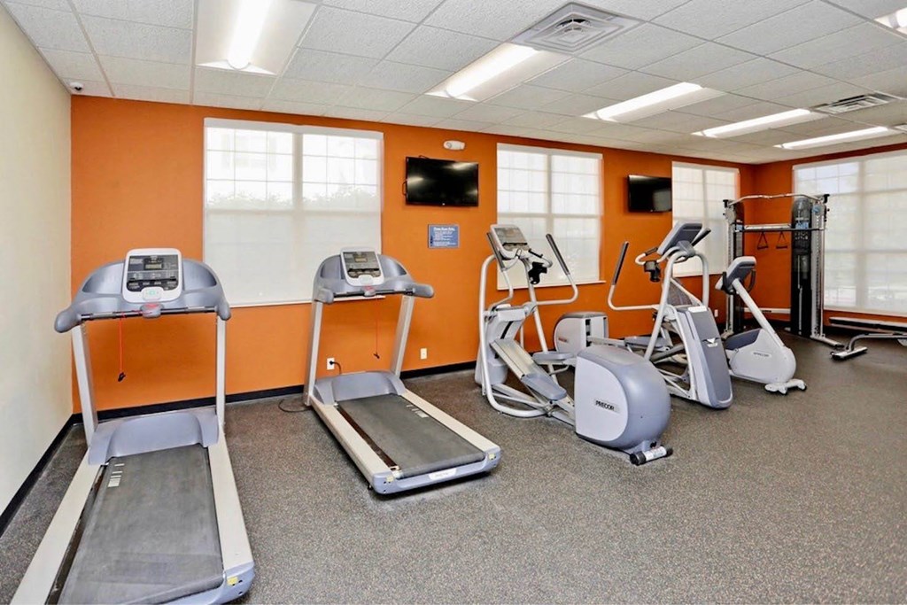 Pine Tree_Fitness Center