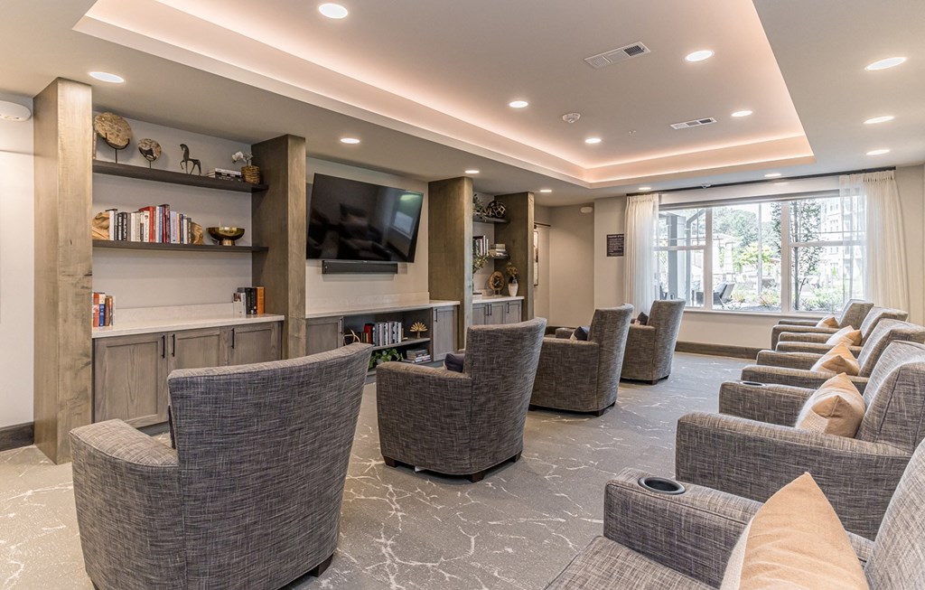 Dominium-Preserve at Peachtree Shoals-Theater Room