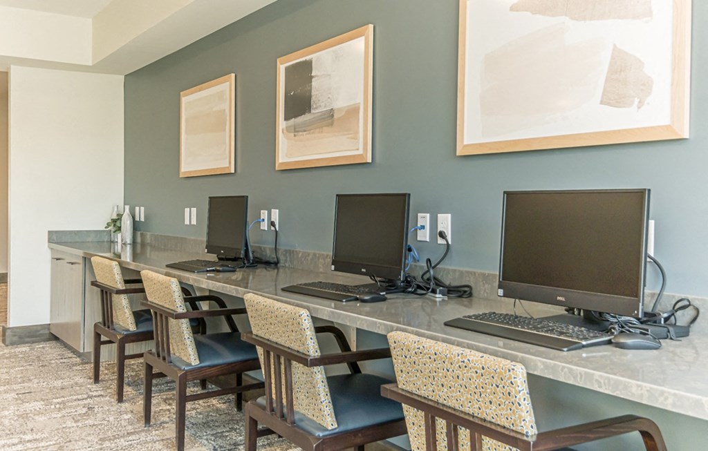 Dominium-Preserve at Peachtree Shoals-Business Center